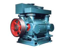 2BE係（xì）列水環真空泵（bèng）