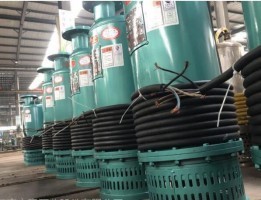 潛水排沙（shā）泵（bèng）